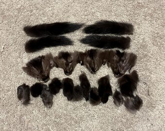 Mahogany Sable Fur Faces and TAILS High Quality Possibly for Shtreimel