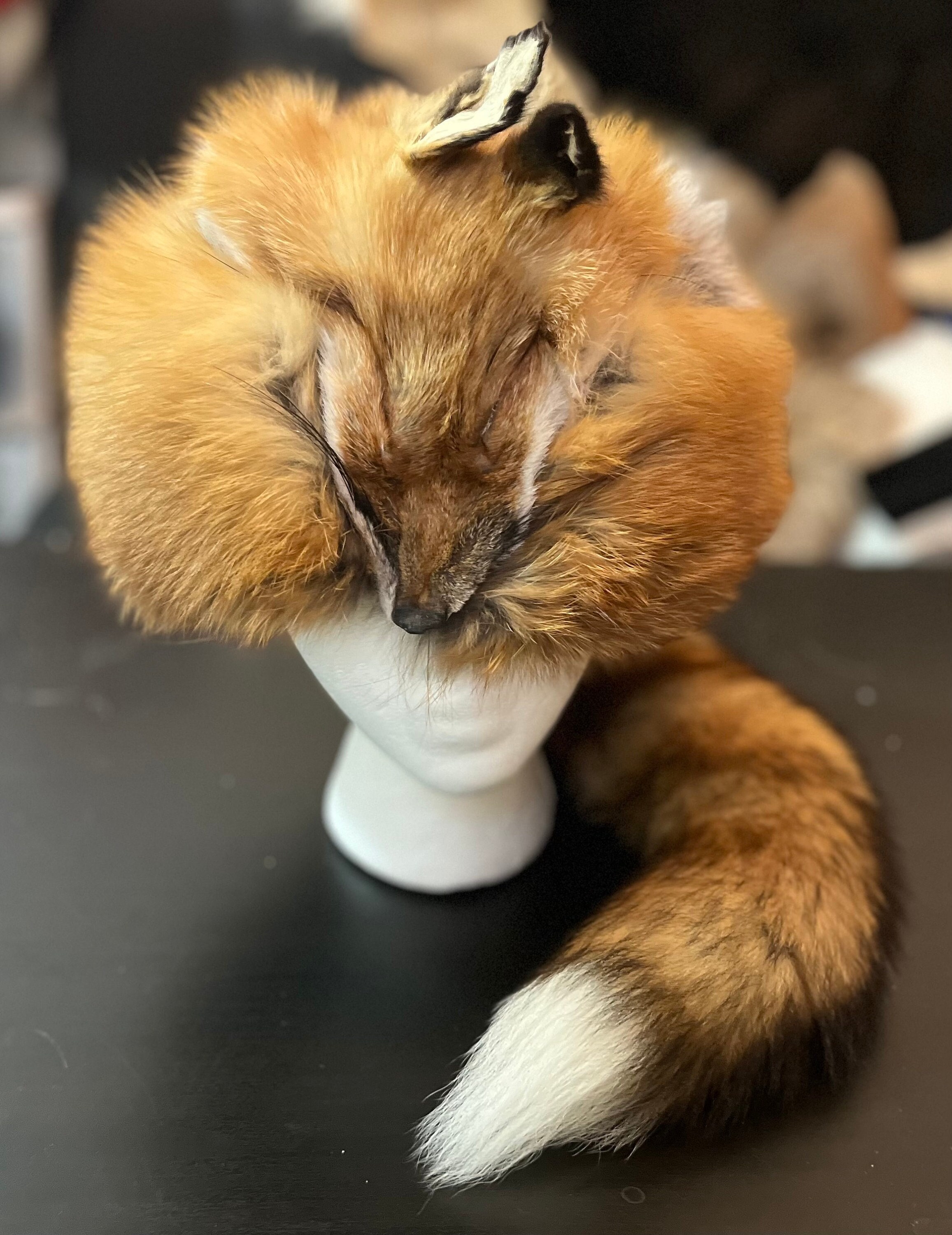 Fox Pelt With Head - Etsy display picture 1