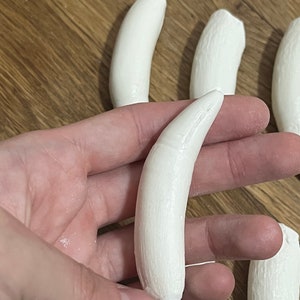 10 XL Gator Teeth Replicas Set Very Realistic Resin