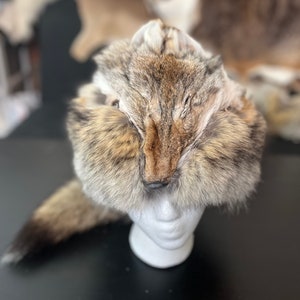 Western Coyote Fur Davey Crockett Daniel Boone Hat WITH FACE + TAIL Size Extra Large Silk Satin Lining