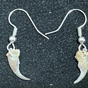 Real Marten Sable Claw Earrings