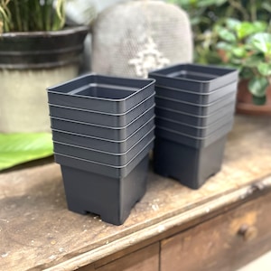 10 Black Square Nursery Pots, plastic seed starting pots, garden supplies for propagation, containers for plants, 4 inch planter