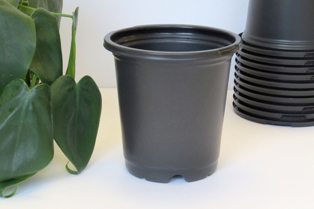 10 Black Nursery Pots Round Nursery Pots Plastic Seed Starting Pots