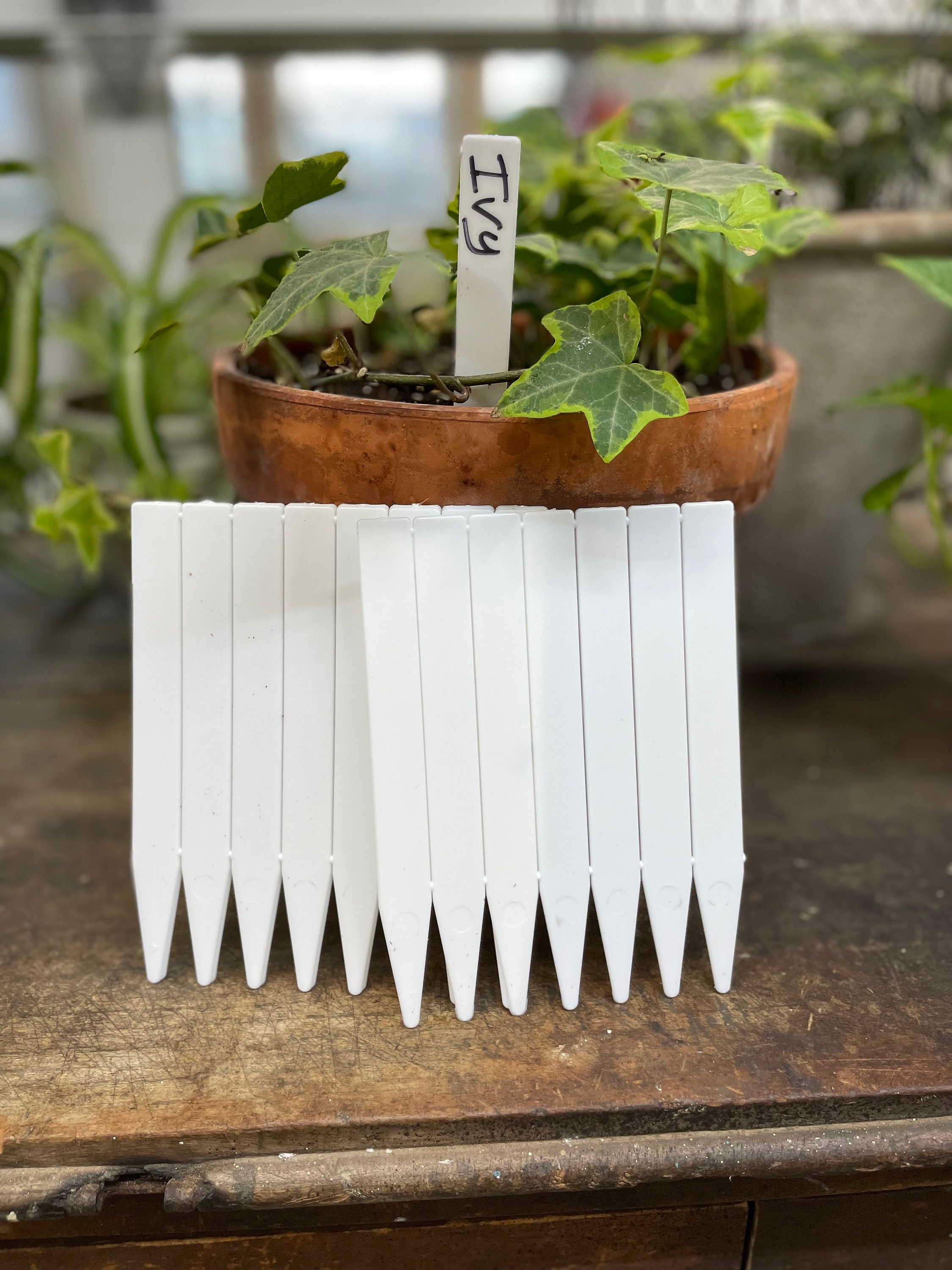 24 Plant Labels, Plant Tags, Gardening Supplies, Plant Gift, Plant ...