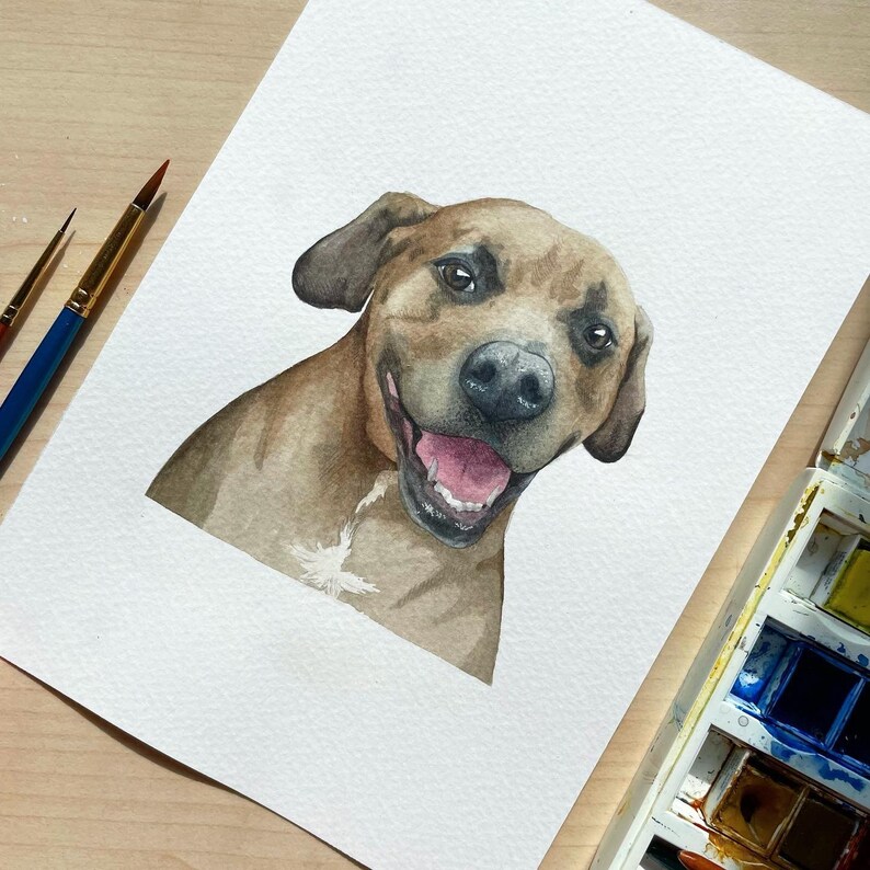 Watercolour Pet Portrait, dog portrait, cat portrait, pet painting image 3