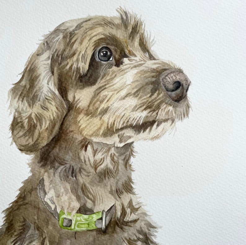 Watercolour Pet Portrait, dog portrait, cat portrait, pet painting image 6