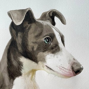 Watercolour Pet Portrait, dog portrait, cat portrait, pet painting image 2