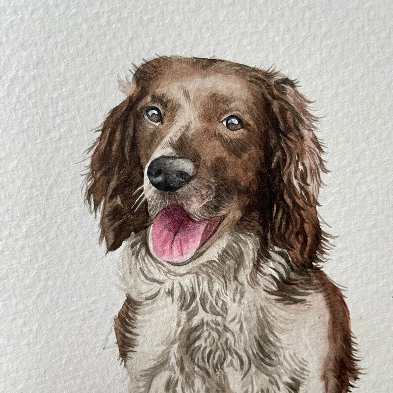 Watercolour Pet Portrait, dog portrait, cat portrait, pet painting image 4
