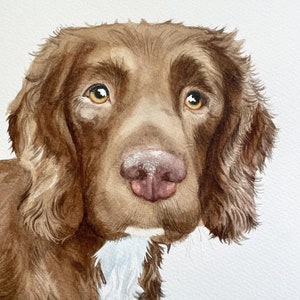 Watercolour Pet Portrait, dog portrait, cat portrait, pet painting image 7