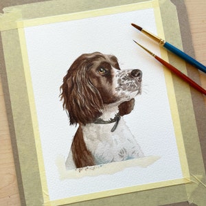 Watercolour Pet Portrait, dog portrait, cat portrait, pet painting image 1