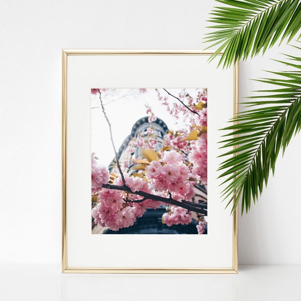 Digital Download. Cherry Blossoms Park Slope. NYC Spring Nature. Sakura Home Decor. Brooklyn New York. Flowers. Instant Download.