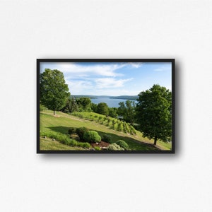 Digital Download. Keuka Lake Vineyard Photo. Finger Lakes. New York. Bluff Point. Wine Country. Lake. Instant Download. Printable Art.