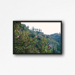 Descarga digital. Flores del lago de Como. Jardín de Villa Cipressi, Varenna, Lecco, Lago de Como. Fotografía de viajes de Italia. Descarga instantánea.