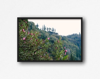 Digital Download. Lake Como Flowers. Villa Cipressi Garden, Varenna, Lecco, Lake Como. Italy Travel Photography. Instant Download.