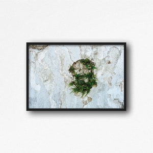 Cemetary Wall Digital Download. Lafayette Cemetery No 1. New Orleans. Nola Architecture. Travel Photo. Louisiana Art. Instant Download