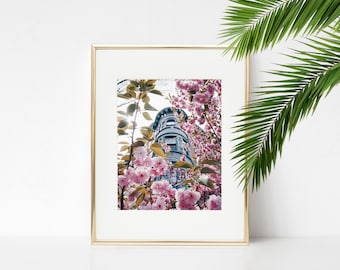 Digital Download. Cherry Blossoms Park Slope. NYC Spring Nature. Sakura Home Decor. Brooklyn New York. Flowers. Instant Download.