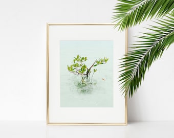 Digital Download. Key West, Florida. Mangrove Photo. Nature Photography. Ocean. Travel. Coastal. Tropical. Florida. Instant Download.