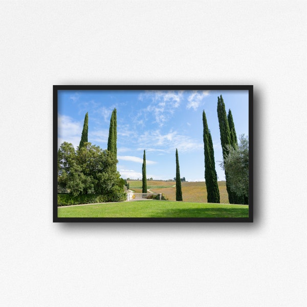 Digital Download. Chianti Winery Photo. Tuscany Vineyard. Italy Architecture Travel Photography. Cypress Trees. Landscape Instant Download.