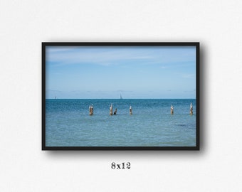 Digital Download. Key West Photo. Sailboat Seagulls. Southernmost Point. Ocean View. Travel. Nature. Coastal. Florida. Instant Download.