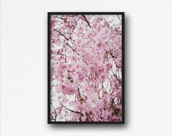 Digital Download. Willow Cherry Blossom Tree. Spring Nature Photography. Sakura Home Decor. Pink Flowers. Instant Download.