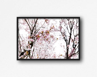Digital Download. Cherry Blossom Tree. Spring Nature Photography. Sakura Home Decor. Pink Flowers. Instant Download.