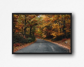 May include: A winding road through a forest with colorful autumn leaves. The road is paved and leads into the distance.
