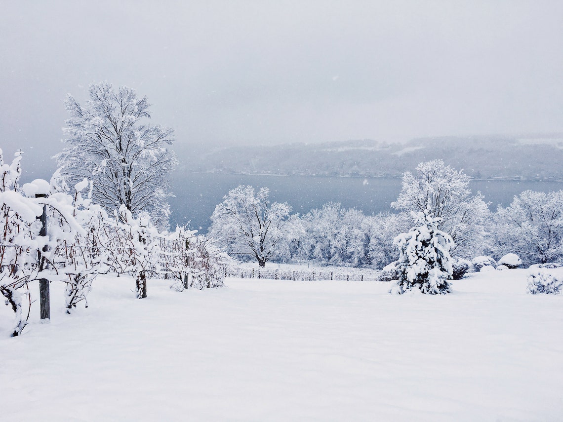 Keuka in Snow Digital Download. Keuka Lake Photo. Bluff Point Winter