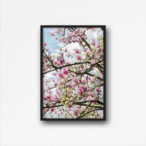 Digital Download. Magnolias Photo. Nature Photography. Spring Blooms. Flowers Wall Art. Magnolia Tree. Instant Download.