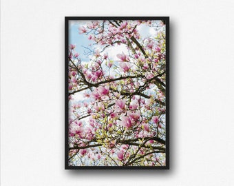 Digital Download. Magnolias Photo. Nature Photography. Spring Blooms. Flowers Wall Art. Magnolia Tree. Instant Download.