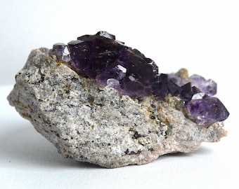 Amatista Karur: Cristales miniatura excepcionales en la roca madre | Morado oscuro intenso | Tamil Nadu, India