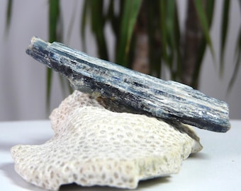 Cianita natural en bruto: piedra de equilibrio e intuición