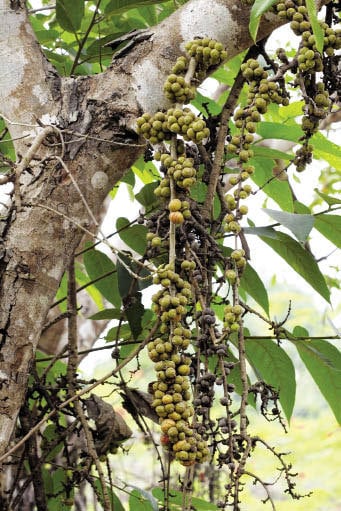 Nastya Kamenskix Potap jinsiy aloqada boladi