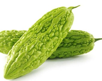 Momordica charantia | bitter melon | balsam pear | 5_Seeds