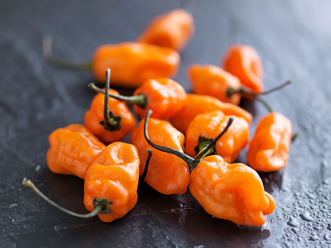 Bhut Jolokia Naga Orange Ghost Chili Pepper 20_seeds Etsy