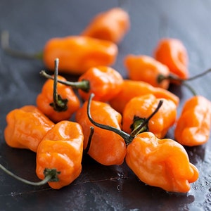 Bhut Jolokia Naga Orange | Ghost Chili Pepper | 20_Seeds