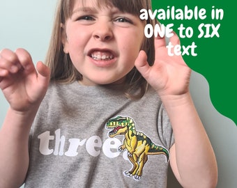 Personalized Dinosaur Birthday Shirt: Grey Cotton Tee, 1st-6th Birthday