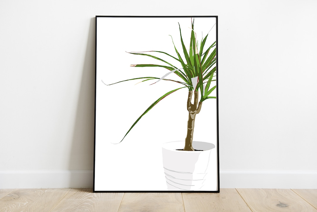 Dracaena Art Print Planter Art Print, Instant Download, House Plants