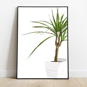 Dracaena Art Print / Planter Art Print, Download istantaneo, House Plants Wall Art, Plant Wall Art, Digital Download, Printable Plant Art,