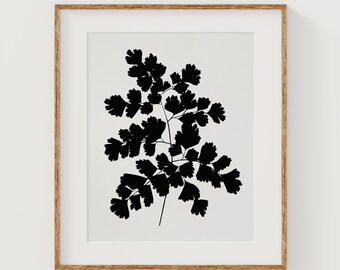 Maidenhair Fern Silhouette Print | Black Botanical Wall Art, Sumi Ink Painting