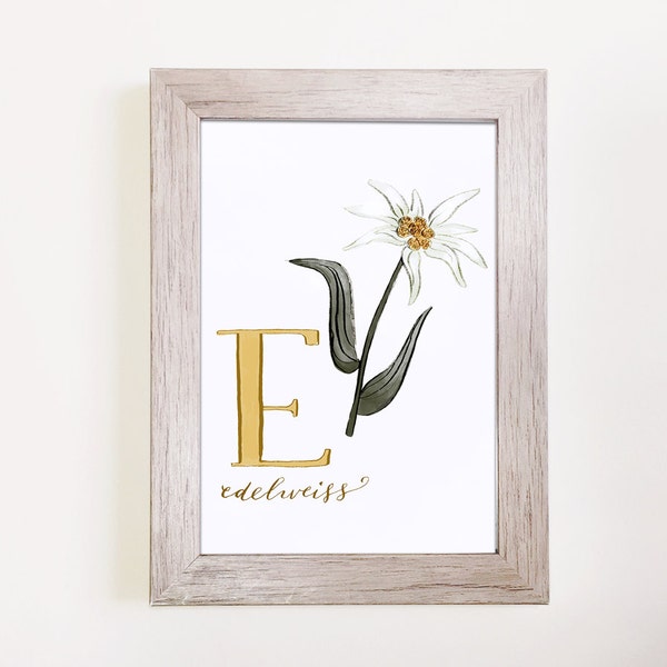 E is for Edelweiss - Botanical Alphabet Print 5"x7" // Monogram wall print, Floral Monogram, monogram print, Custom monogram, Floral decor