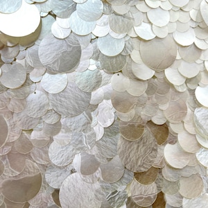 Puede incluir: Primer plano de una superficie cubierta de formas circulares iridiscentes y superpuestas. Las formas varían en tamaño y tienen un brillo nacarado, con colores que van del blanco al beige claro. La textura parece ligeramente rugosa.