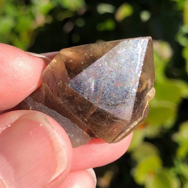 Natural Citrine Smoky Scepter Phantom!