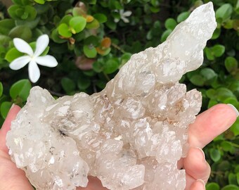 Formation de calcite cristalline blanche autoportante !