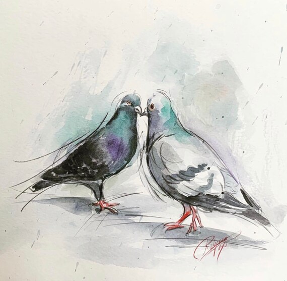 Fine Art Original Watercolor Painting Pigeon Watercolor Art | Etsy