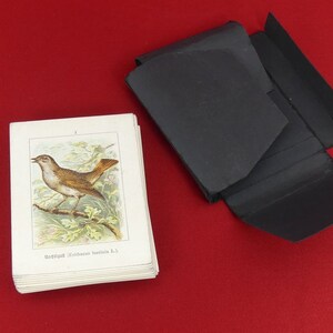 Jeu de 119 images ornithologiques par Albert KULL