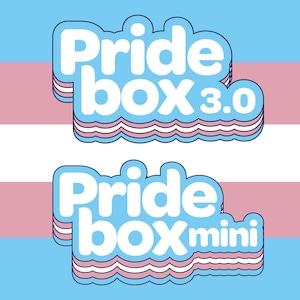 Letterbox gift, Trans pride gift box, coming out gift, pride starter kit, LGBT pride decor, pride gift box, gay pride accessories