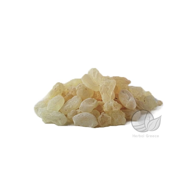 Mastic Gum / Mastiha of Chios Island Resin Tears Greek Etsy