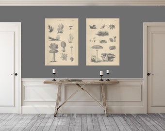 Digital Antique, Vintage, Fungi, Mushrooms, Wall Art, Digital Print, Poster, INSTANT DOWNLOAD.