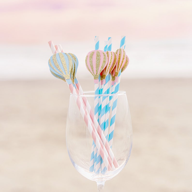 Hot Air Balloon Decorations Hot Air Balloon Party Up Up and Away Fly Away with me Party Straws Paper Straws First Birthday Party image 3