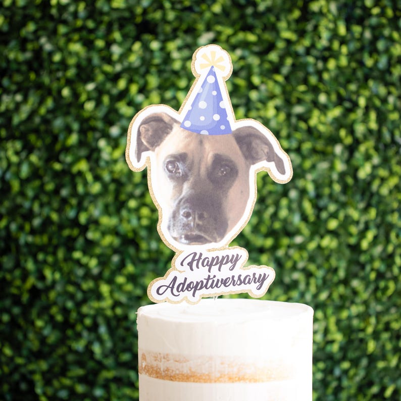 Może przedstawiać: Topper na ciasto przedstawiający pysk psa w niebieskiej czapeczce z białymi kropkami. Topper ma złoty brokatowy kontur i napis "Happy Adoptiversary" kursywą.
